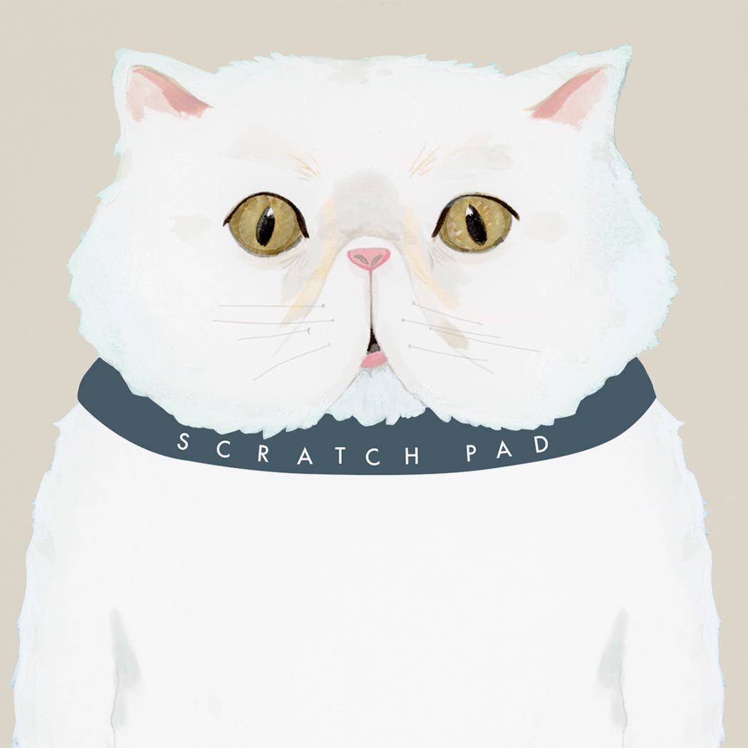 Cat Kitten Scratch Pad