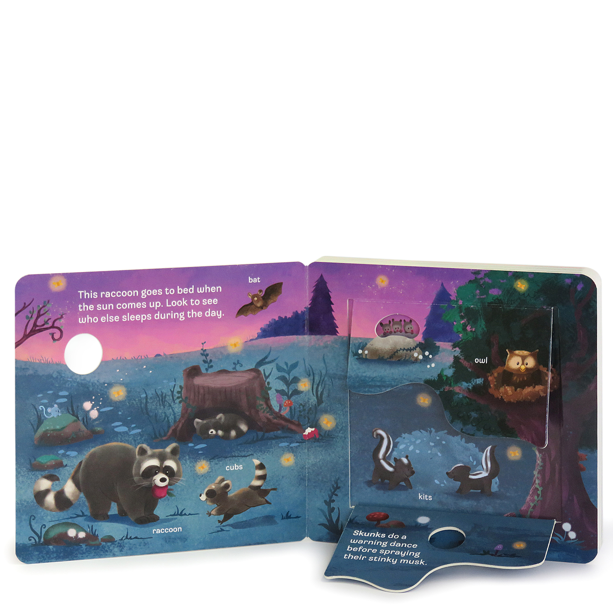 Who Interactive Lift a Flap Board Book