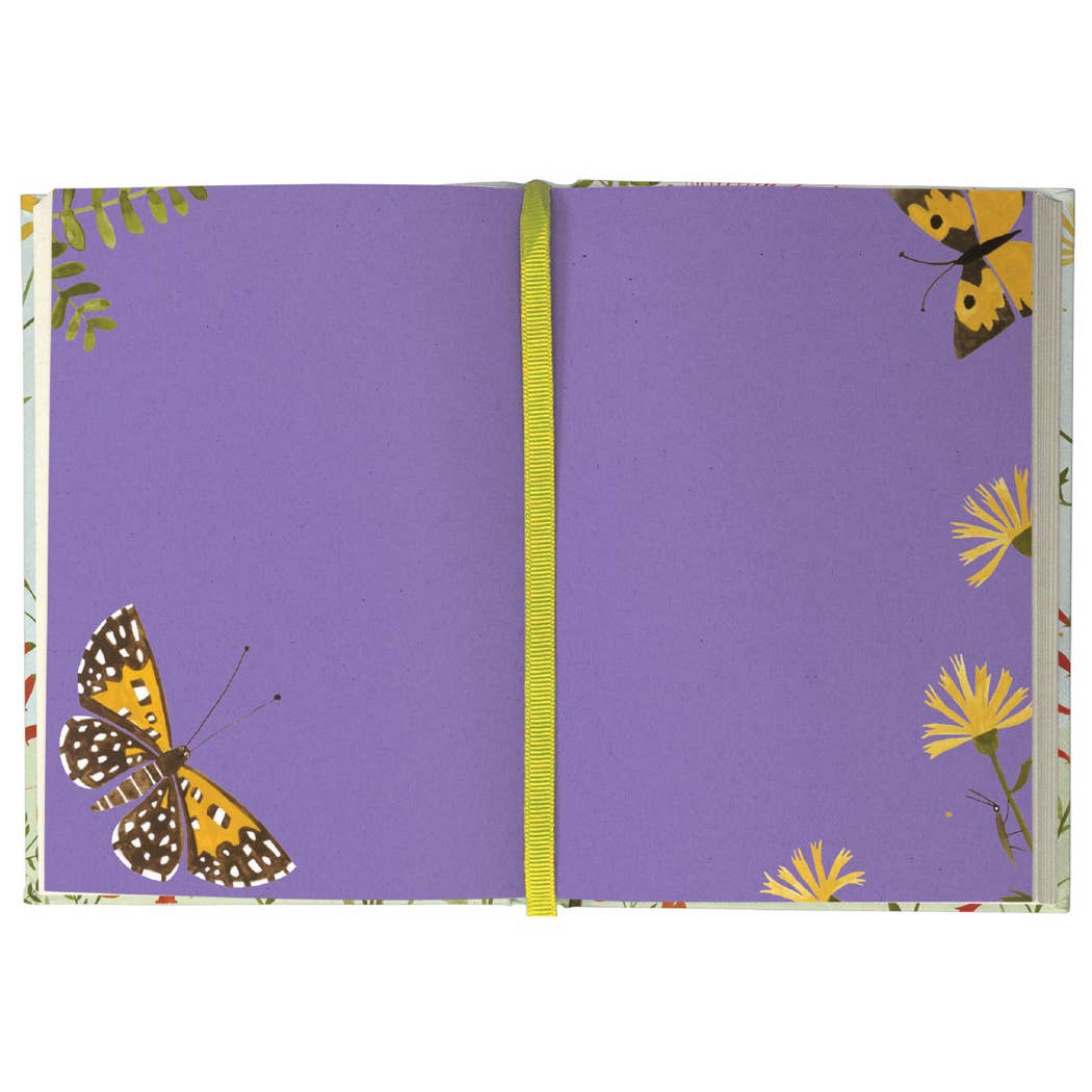 Hummingbird Illustrated Journal