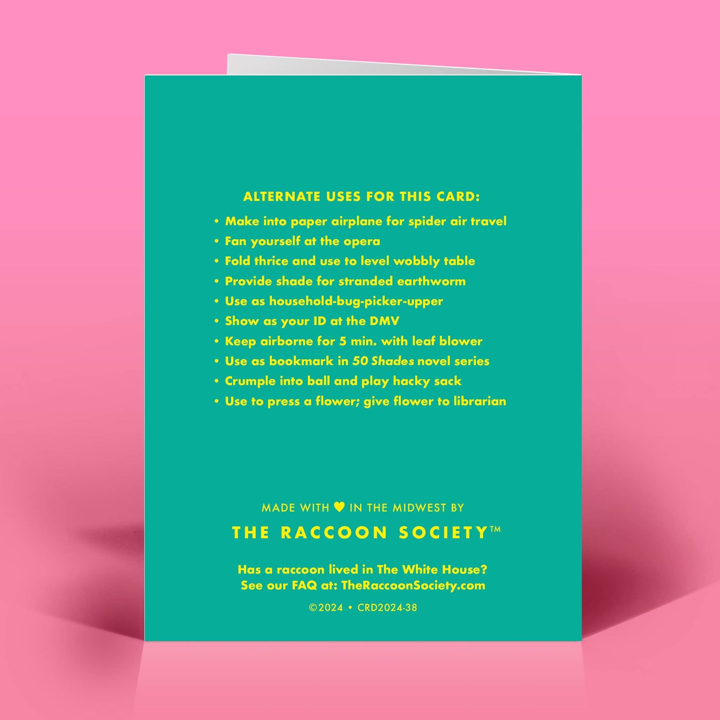 Funny Birthday Card – VANISHING YOUTH – Vintage Sassy Humor