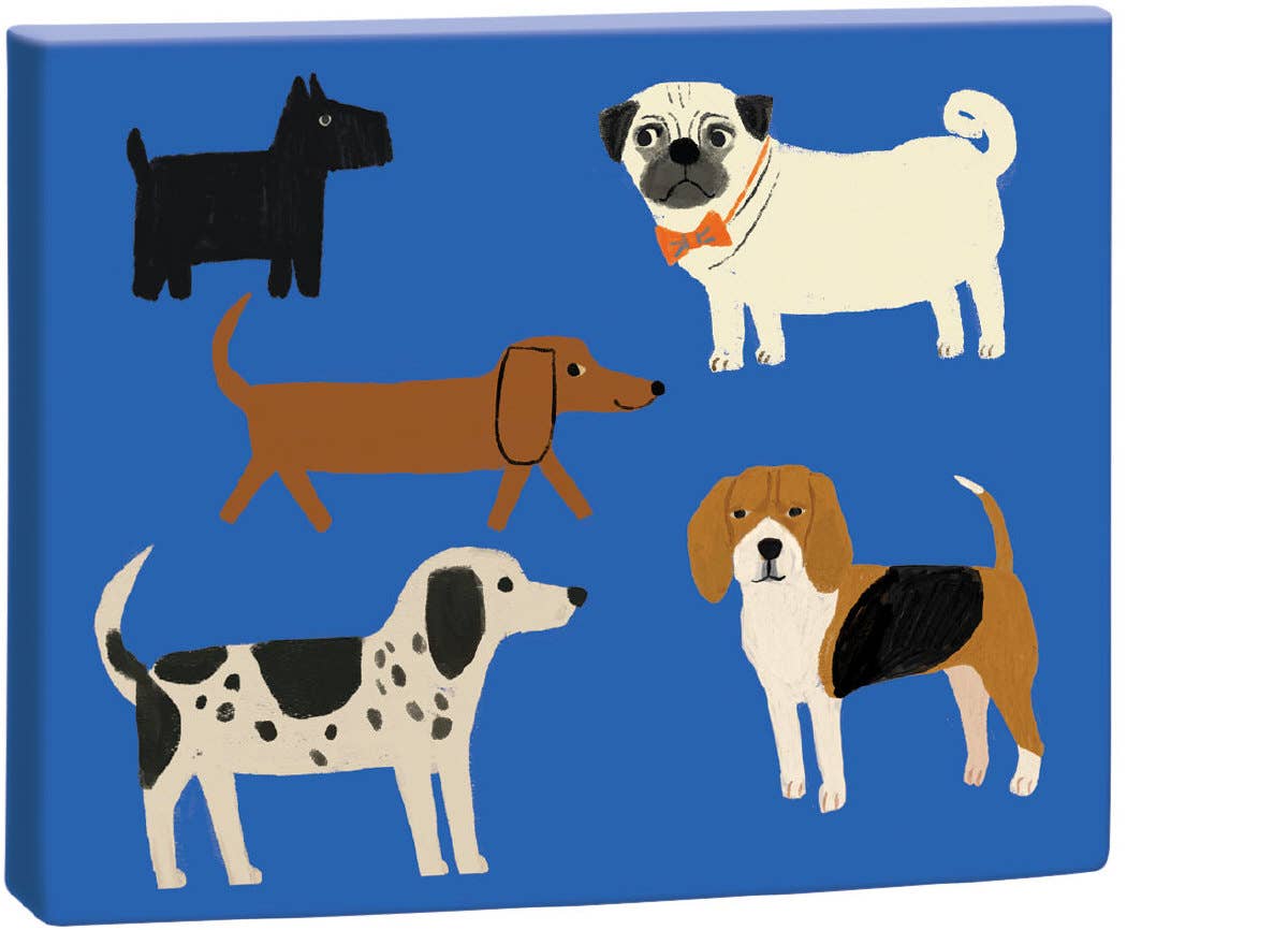Shaggy Dogs Chic Boxed Cards