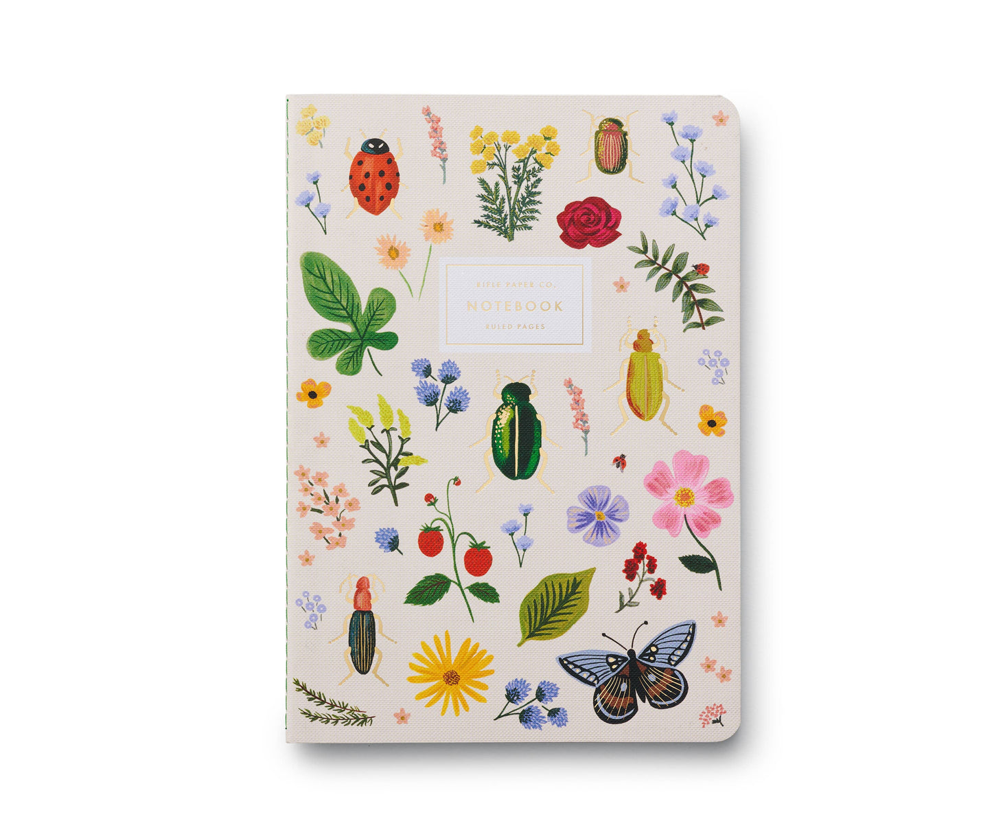 Set of 3 Curio Notebooks