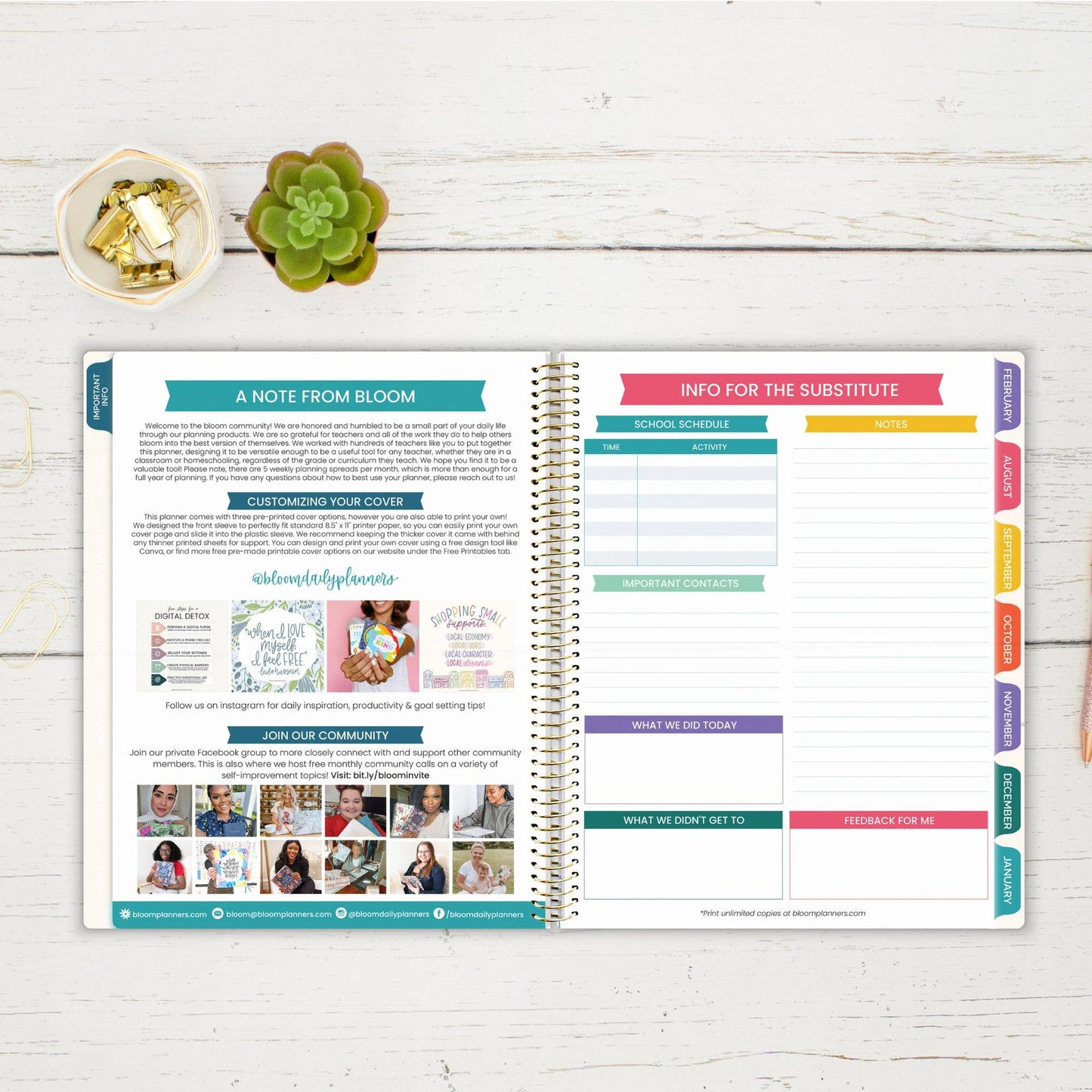 Undated Teacher Planners, Interchangeable: Neutral