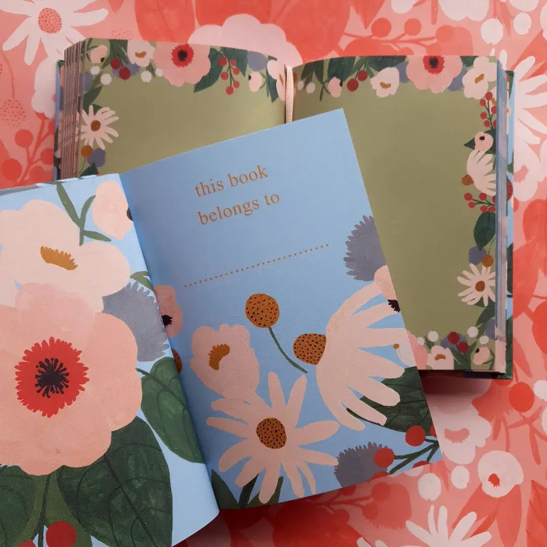 Big Pink Illustrated Journal  - AS 056