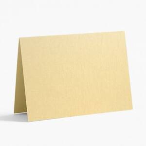Tabletop / Place Card Paper (10 pack): Plum