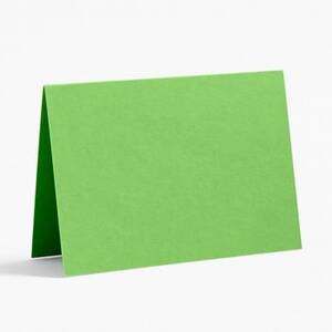 Tabletop / Place Card Paper (10 pack): Papaya