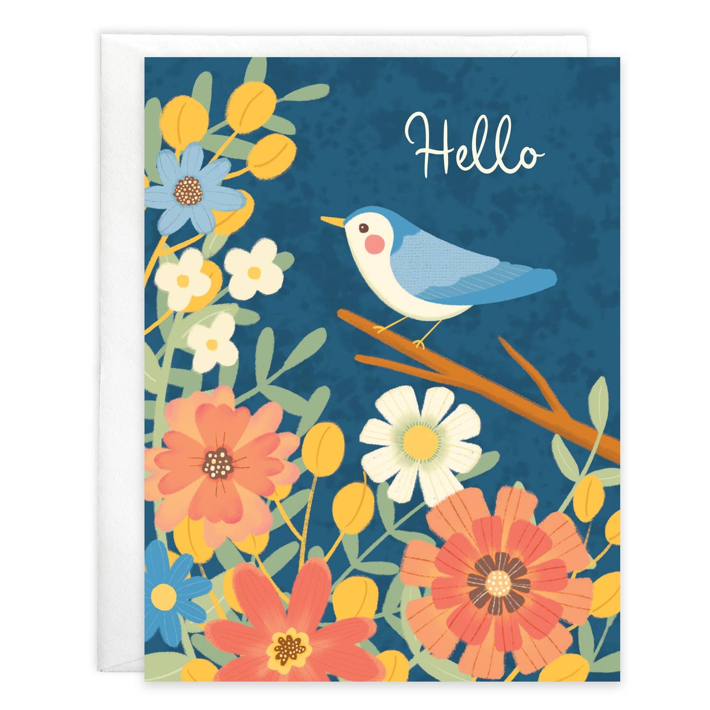 Boxed/Packaged Blank Note - Hello Bird: Cello Pack of 8