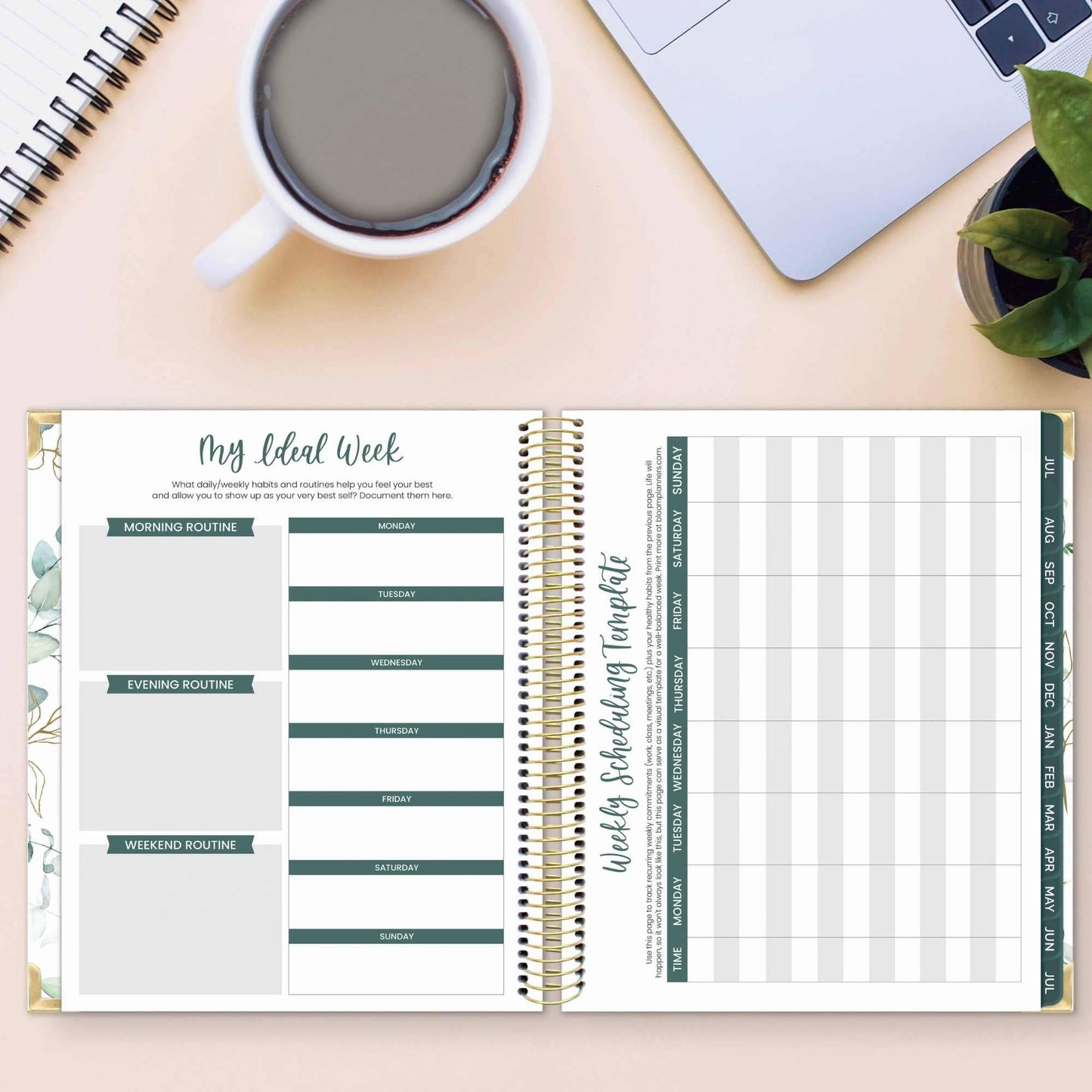 2026-27 Hard Cover Academic Vision Planner, 7x9 Size: Eucalyptus White