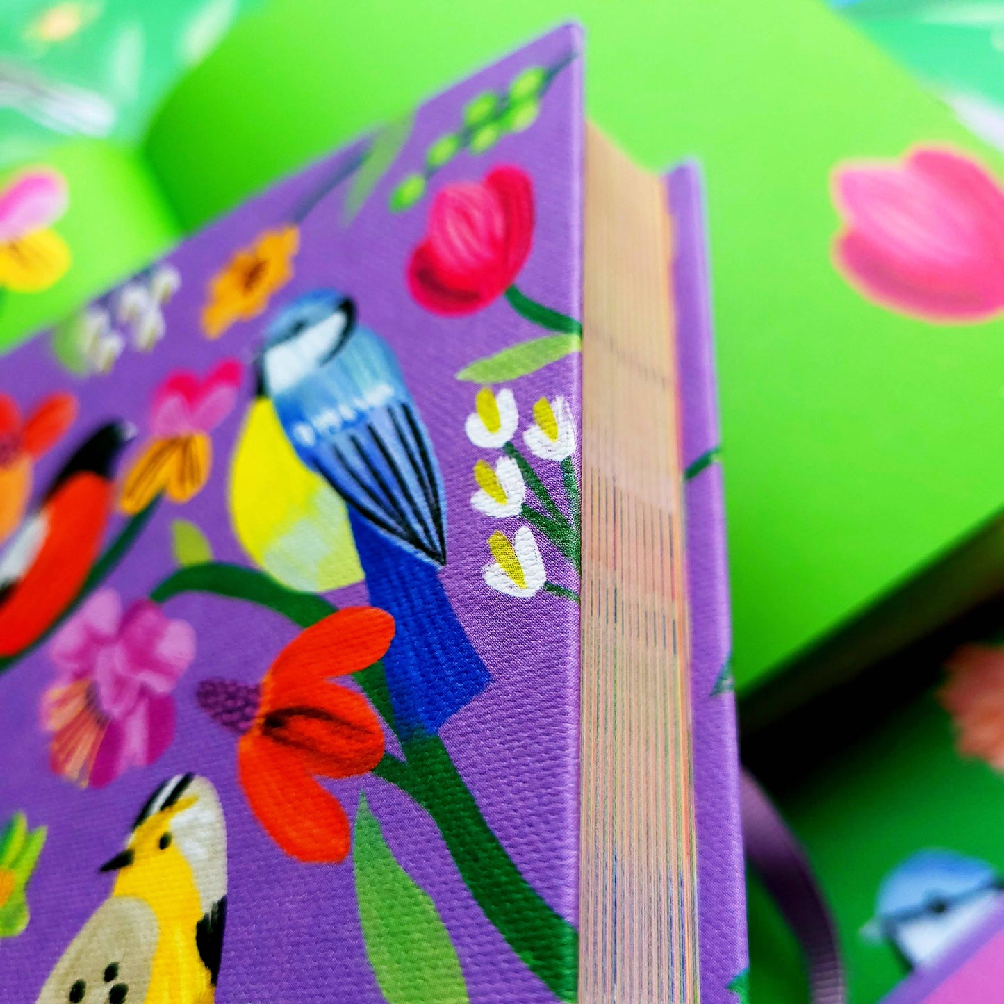 Birdhaven Illustrated Journal  - AS 072