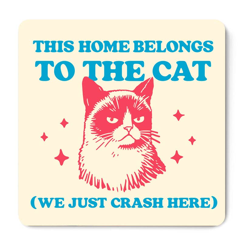 Belongs to the Cat Magnet