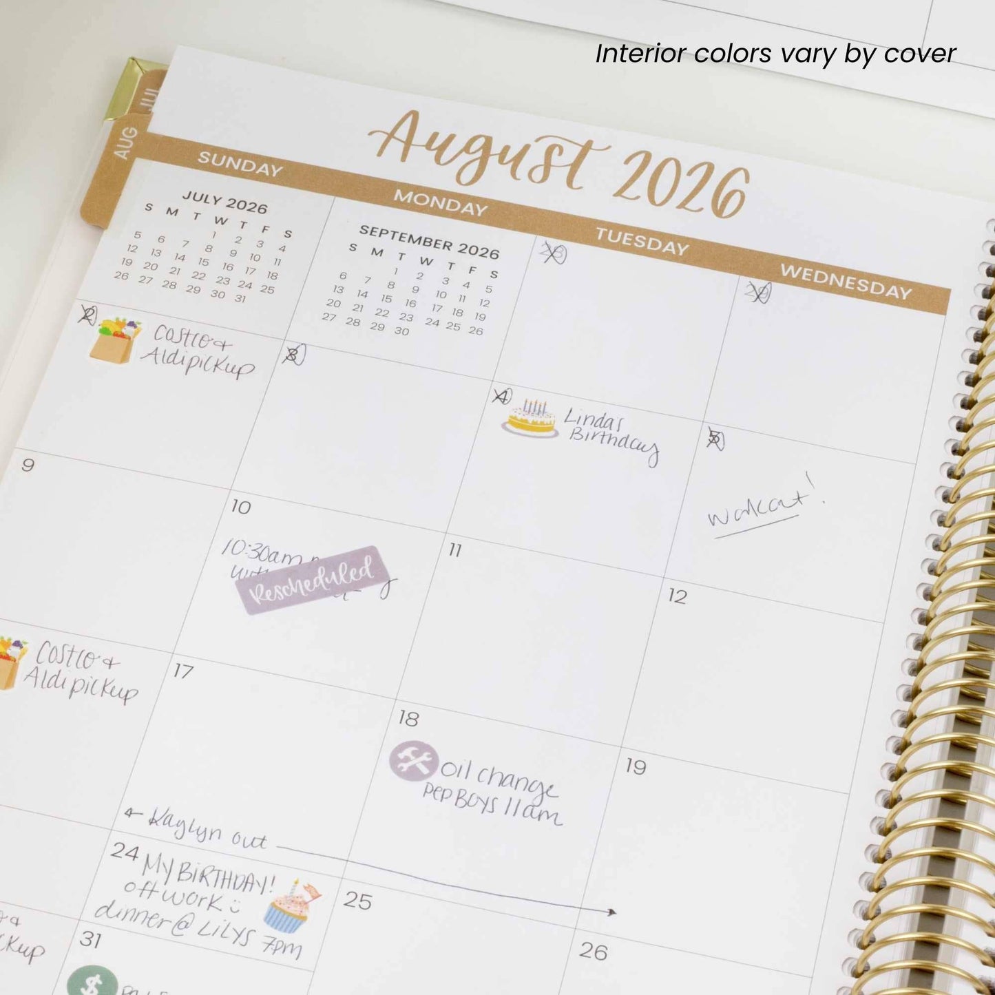 2026-27 Hard Cover Academic Vision Planner, 7x9 Size: Eucalyptus White
