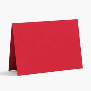 Tabletop Aubergine Place Card Paper (10 pack)