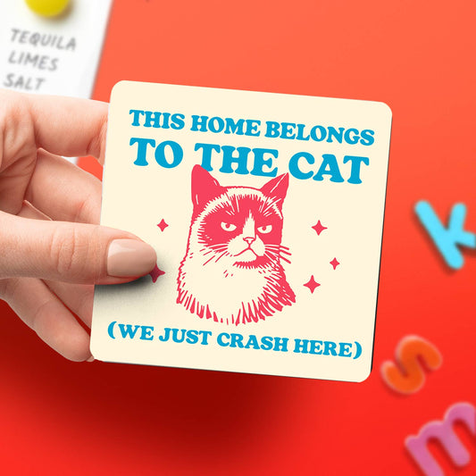 Belongs to the Cat Magnet