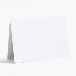 Tabletop Aubergine Place Card Paper (10 pack)