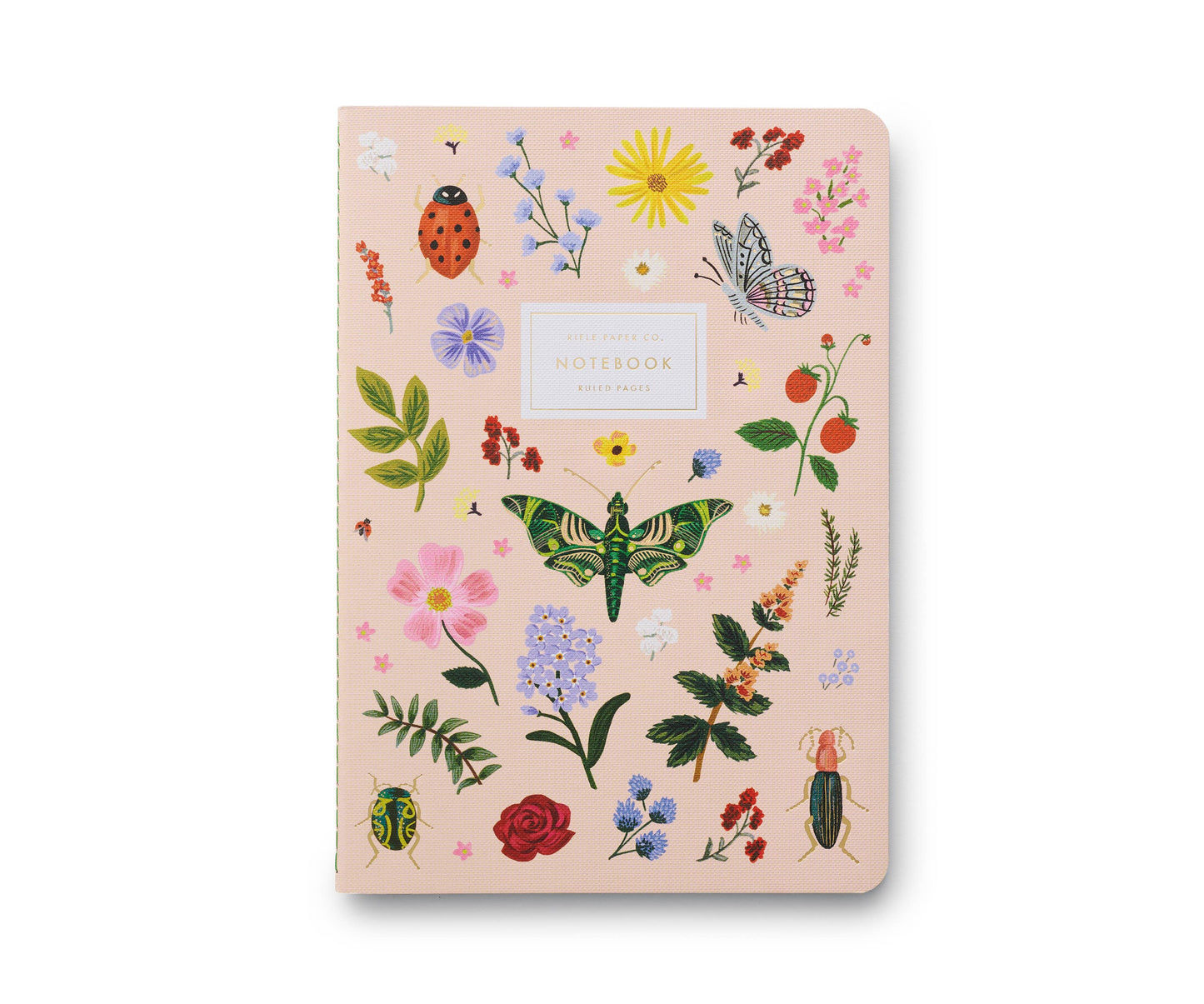 Set of 3 Curio Notebooks