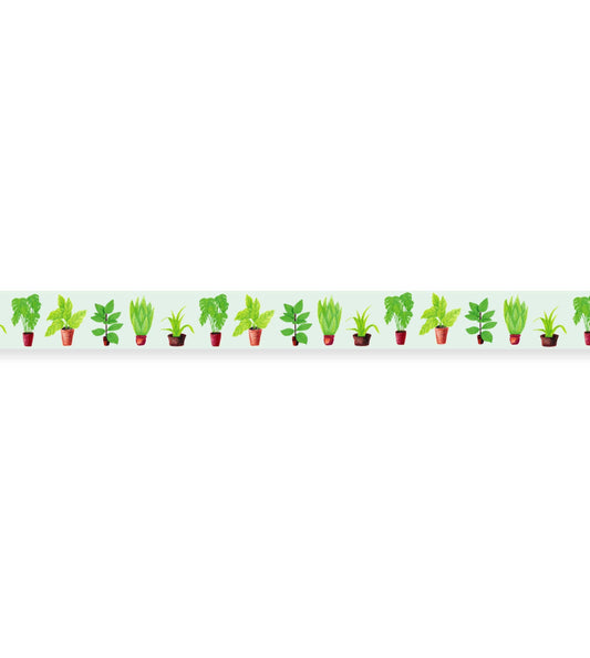 Washi Tape House Plants