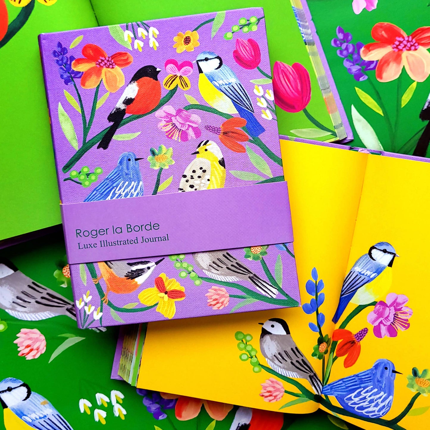 Birdhaven Illustrated Journal  - AS 072