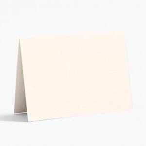 Tabletop Aubergine Place Card Paper (10 pack)