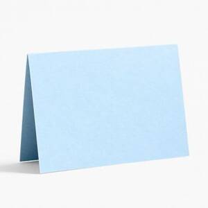 Tabletop Aubergine Place Card Paper (10 pack)