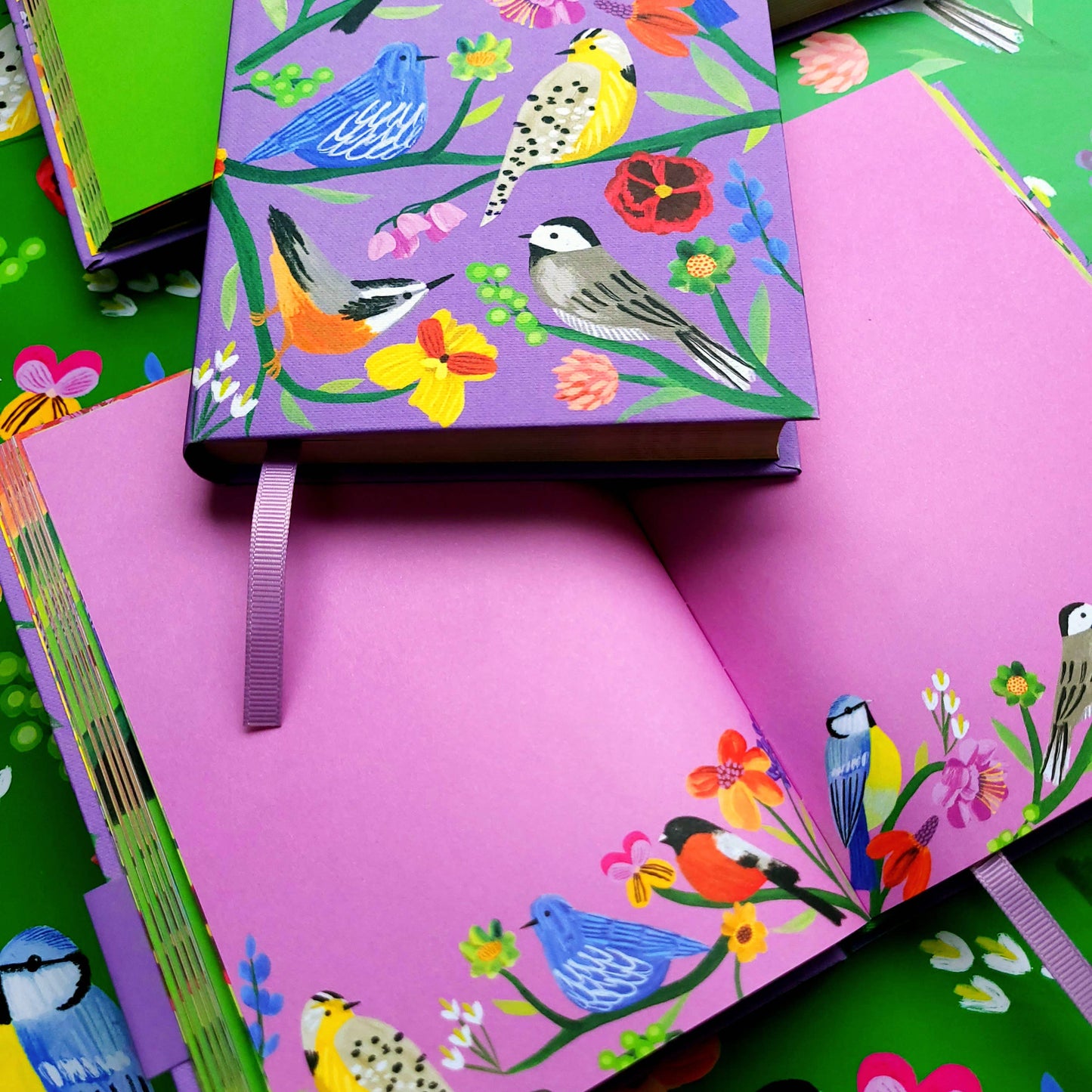 Birdhaven Illustrated Journal  - AS 072
