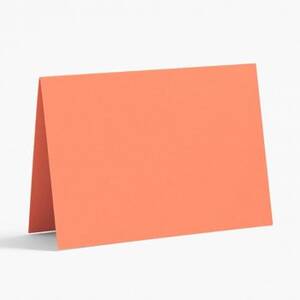 Tabletop / Place Card Paper (10 pack): Peacock