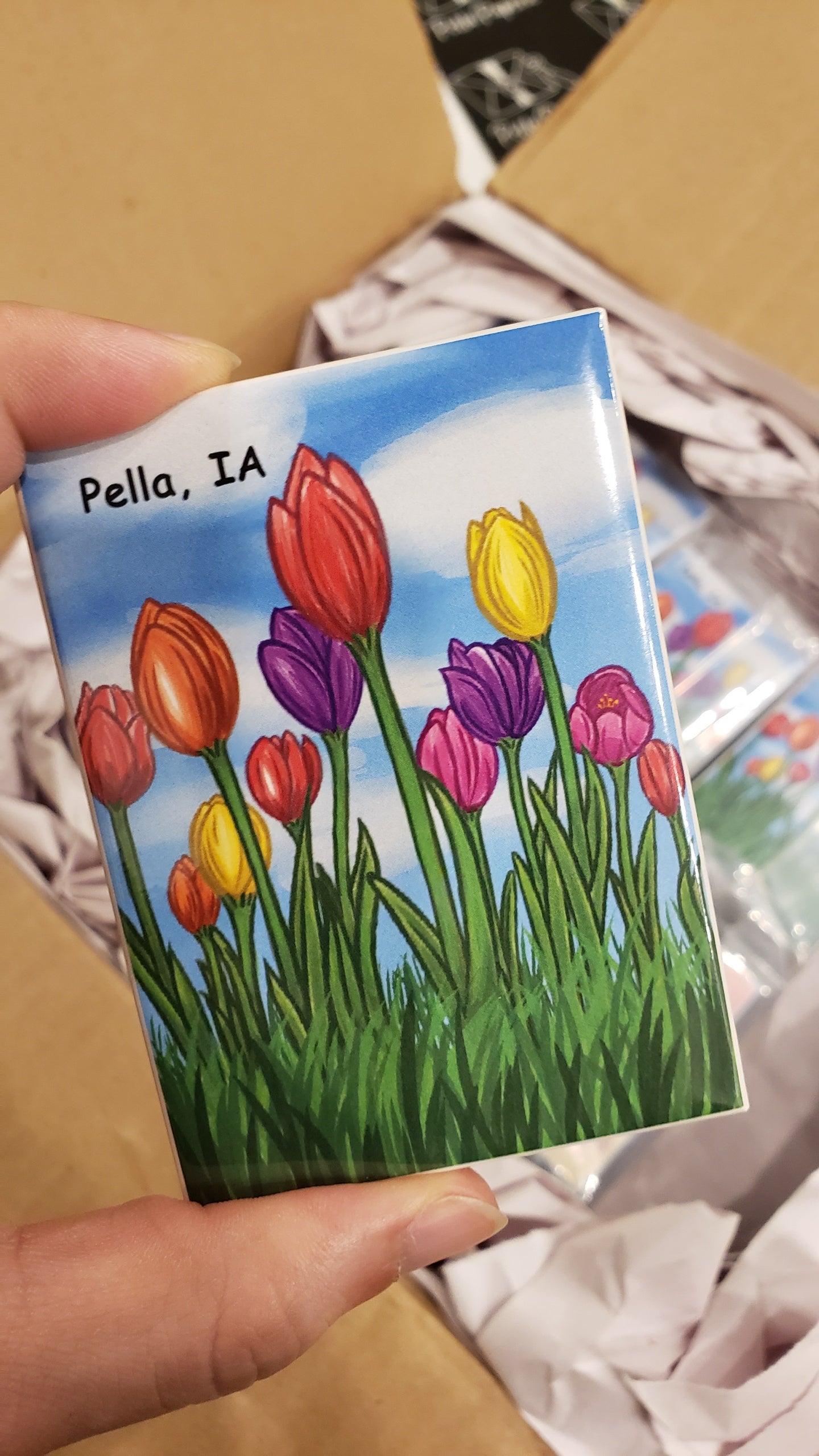 Pella Tulip Hard Magnets
