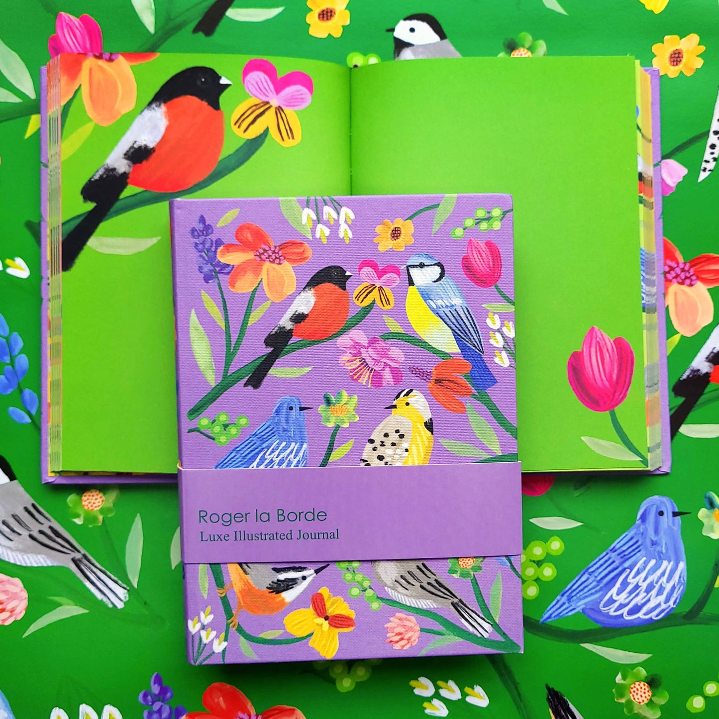 Birdhaven Illustrated Journal  - AS 072