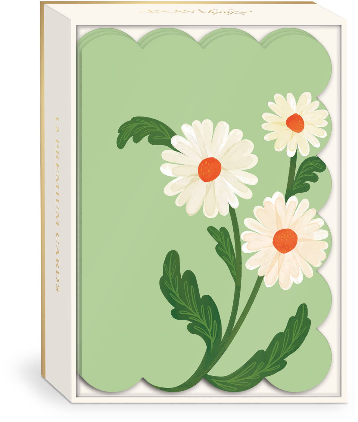FRUIT AND FLEUR DAISIES NOTECARD