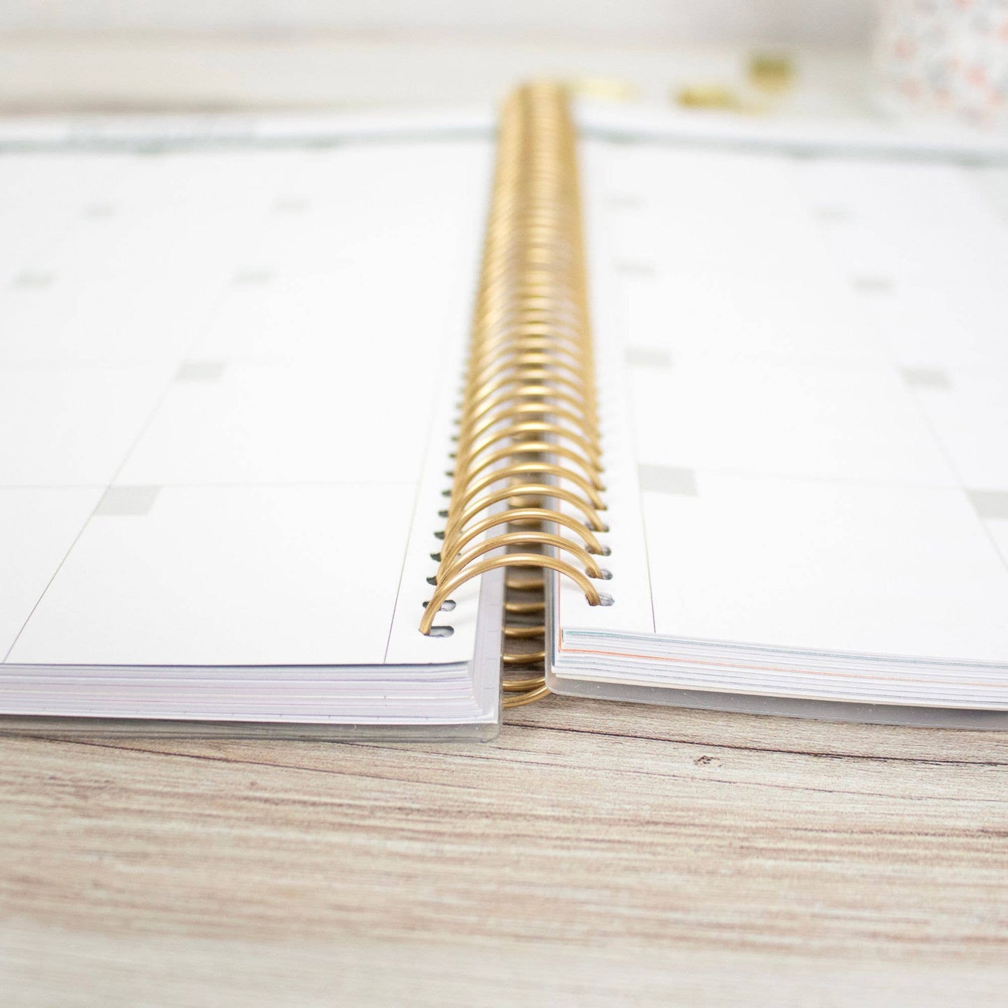 Undated Teacher Planners, Interchangeable: Neutral