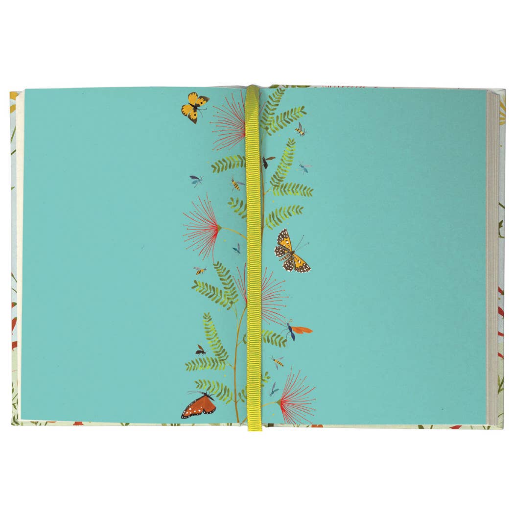 Hummingbird Illustrated Journal