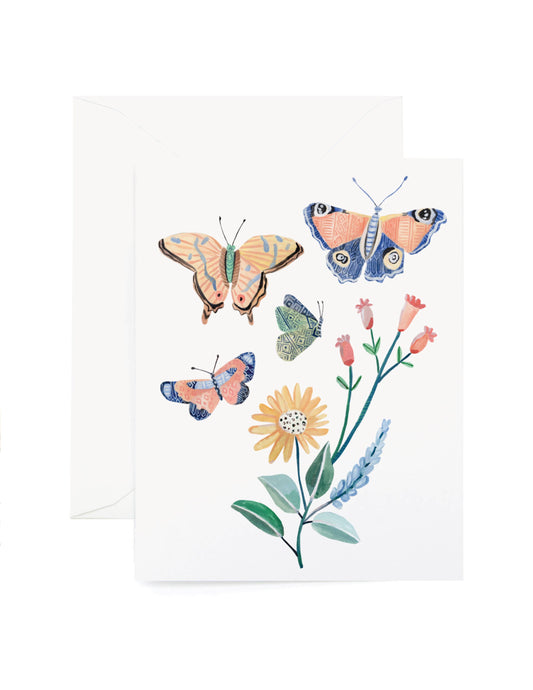 Botanic Butterfly Box Set of 8