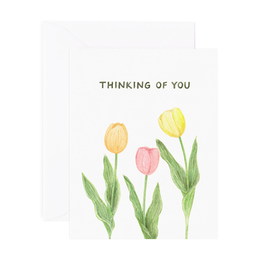 Thinking of You Tulips BOX SET